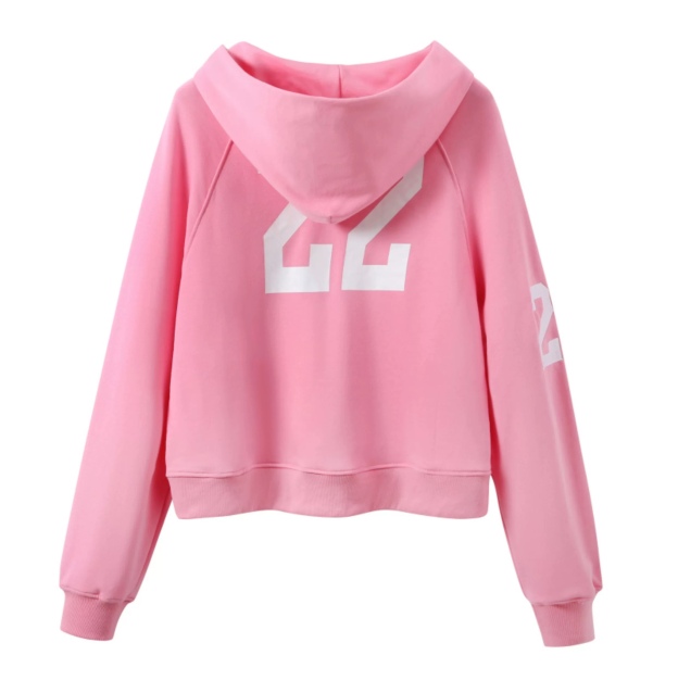 Seventeen Hoshi Inspired Pink Warhorse Hoodie