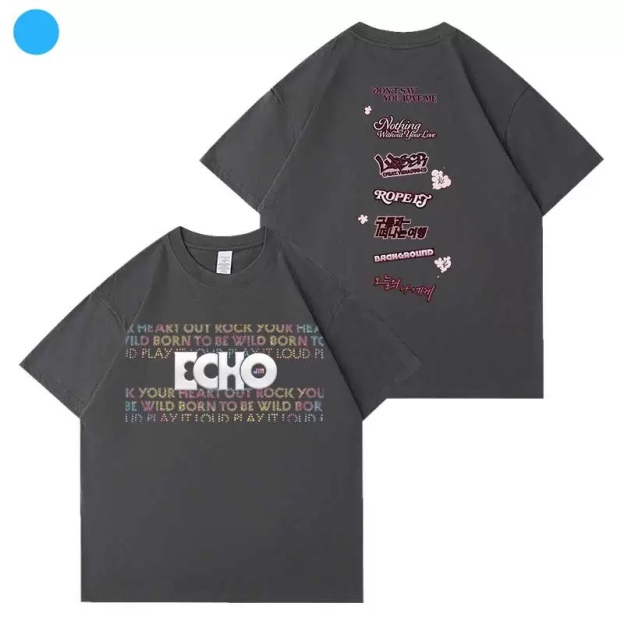 BTS Jin 2025 Echo Tour Official Inspired T-Shirt