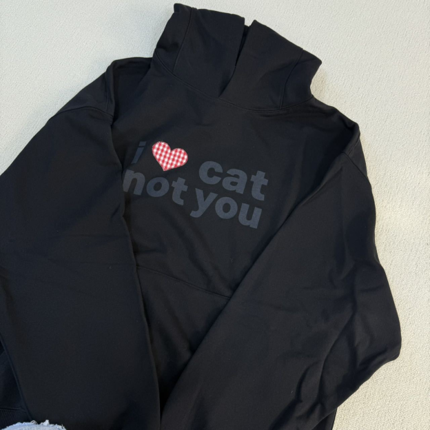 Nct Dream Jaemin Inspired I LOVE CAT NOT YOU CAT EAR HOODIE