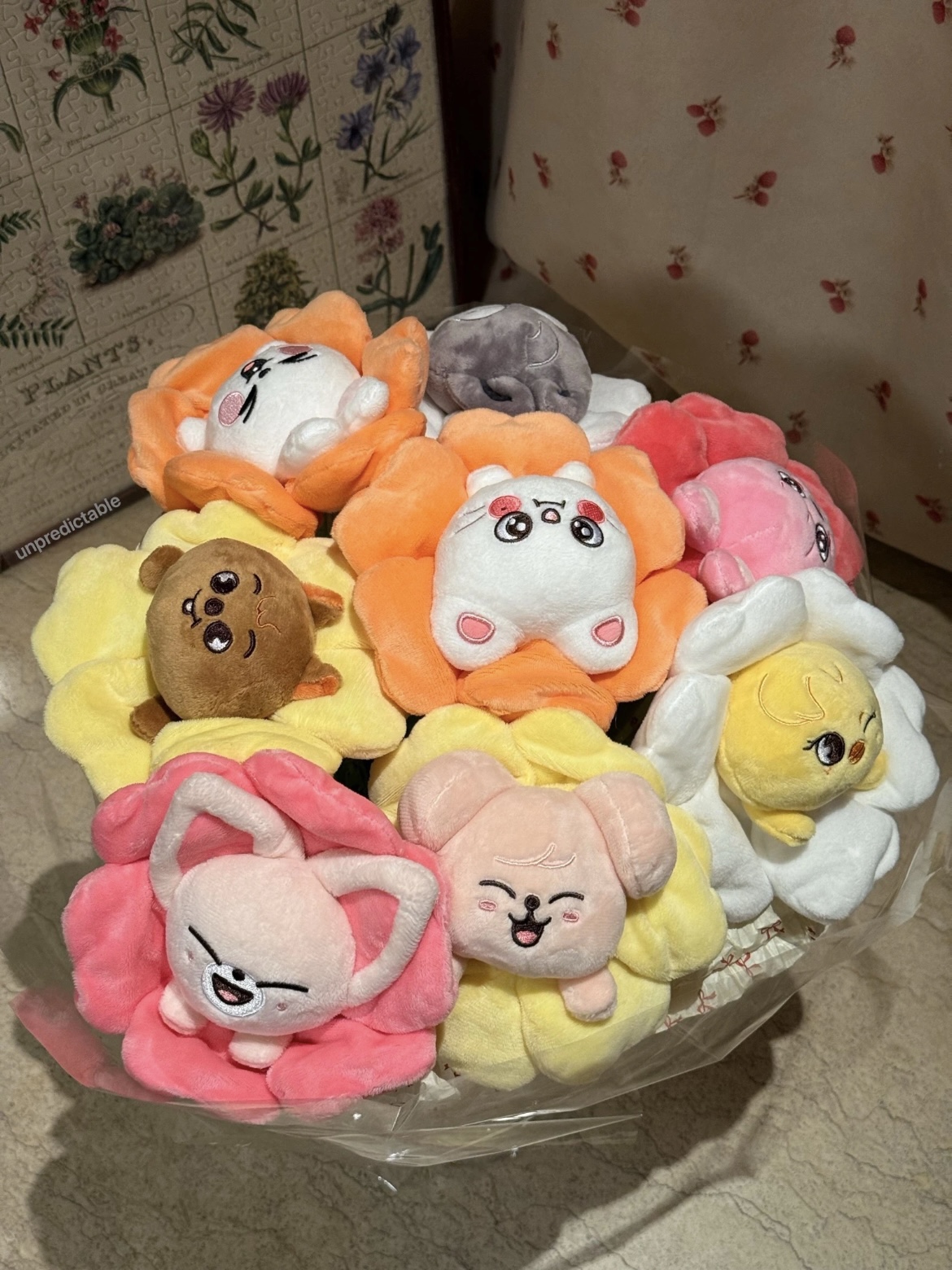 Straykids Skzoo Japan Popup Store Merch Inspired Pencil Case