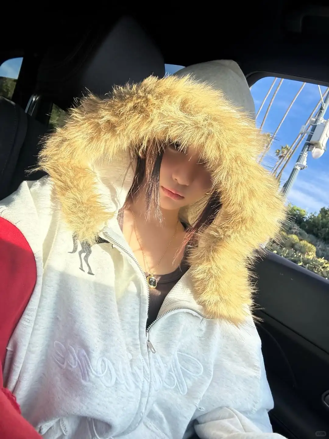 Aespa Ningning Inspired Fur Collar Horse Embroidered Zip-Up Hoodie