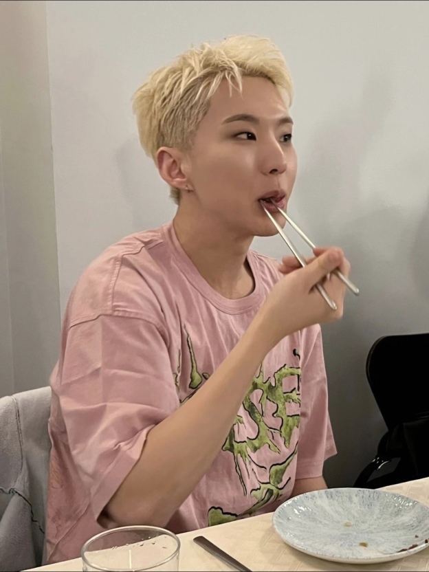 Seventeen Hoshi Inspired Pink T-shirt 