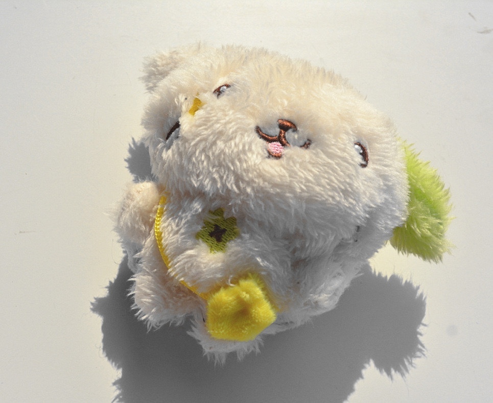 NCT WISH Garden Wish inspired Boba Cat Keychain