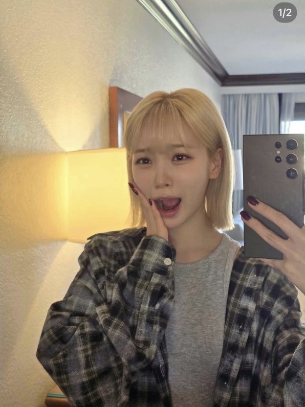 LE SSERAFIM Chaewon Inspired Plaid Shirt