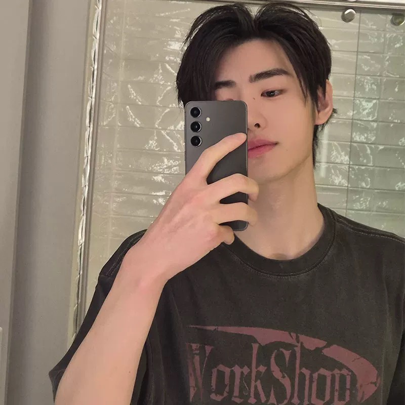 ENHYPEN Sunghoon Inspired Oversized  gray T-Shirt