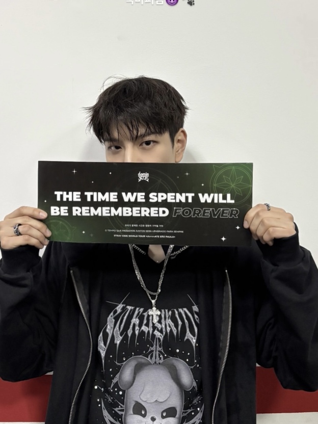 Straykids 2025 World Tour ‘dominATE’ Zip-up Hoodie