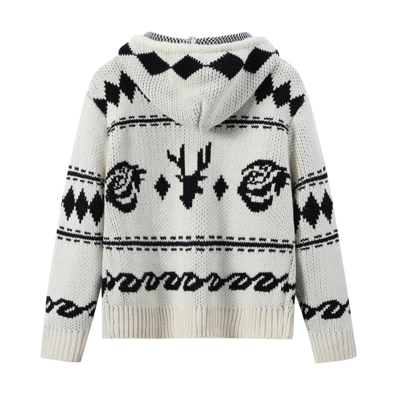 Hooded Sweater Zipper Cardigan-Aespa Karina