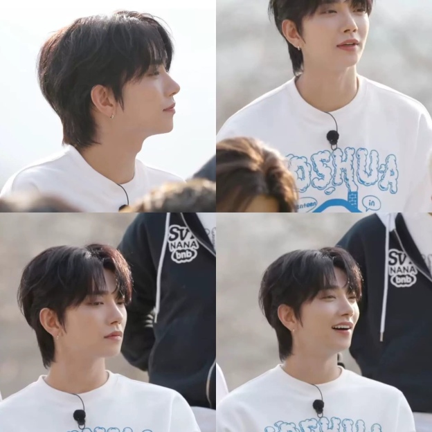 SEVENTEEN NANA bnb Inspired T-Shirt