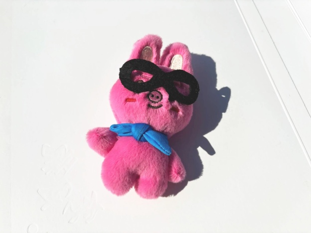 Stray Kids Skzoo glass inspired Merch  Doll