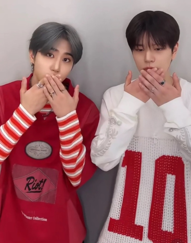 Stray kids Seungmin &Nctwish Jaehee number 10 Jacquard Knit Short Sleeve T-Shirt