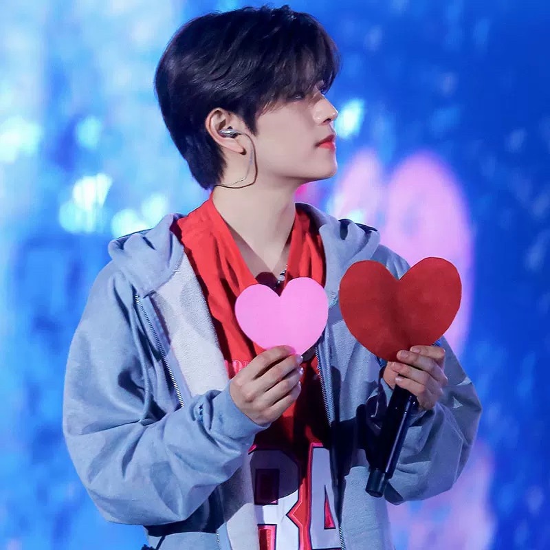 Stray kids 5 star tour inspired merch hoodie