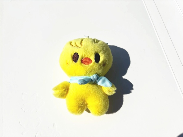 Stray Kids Skzoo glass inspired Merch  Doll