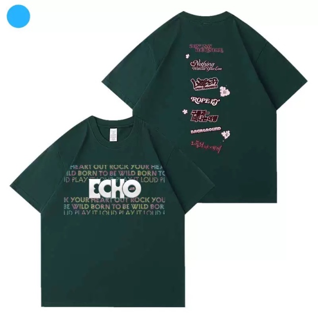 BTS Jin 2025 Echo Tour Official Inspired T-Shirt