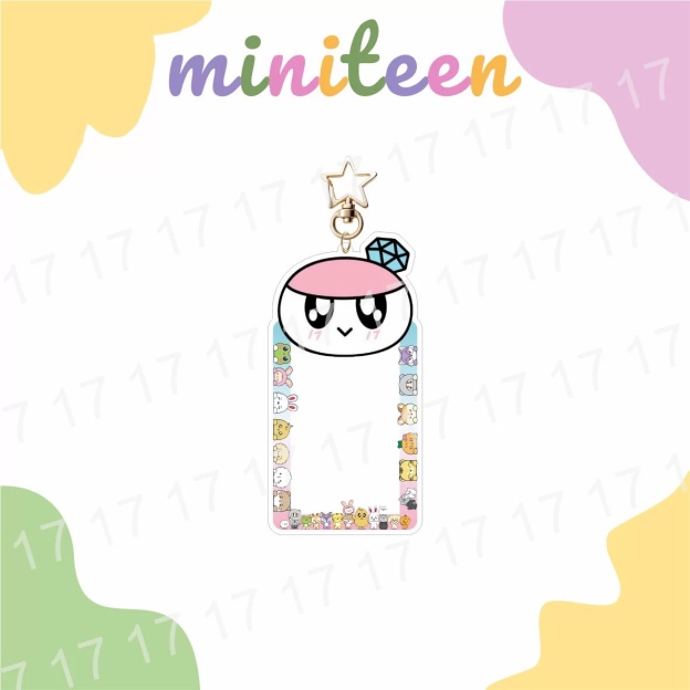 Seventeen Miniteen Inspired Acrylic Photocard Holder