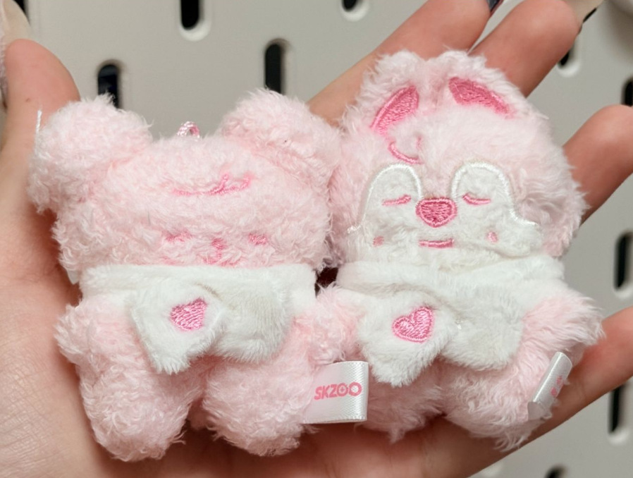 Stray kids Inspired Skzoo Secret Plush-Straykids