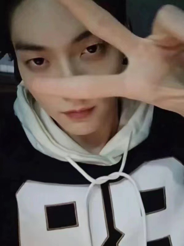 TXT Soobin & Red Velvet Seulgi Inspired Color Block Hoodie