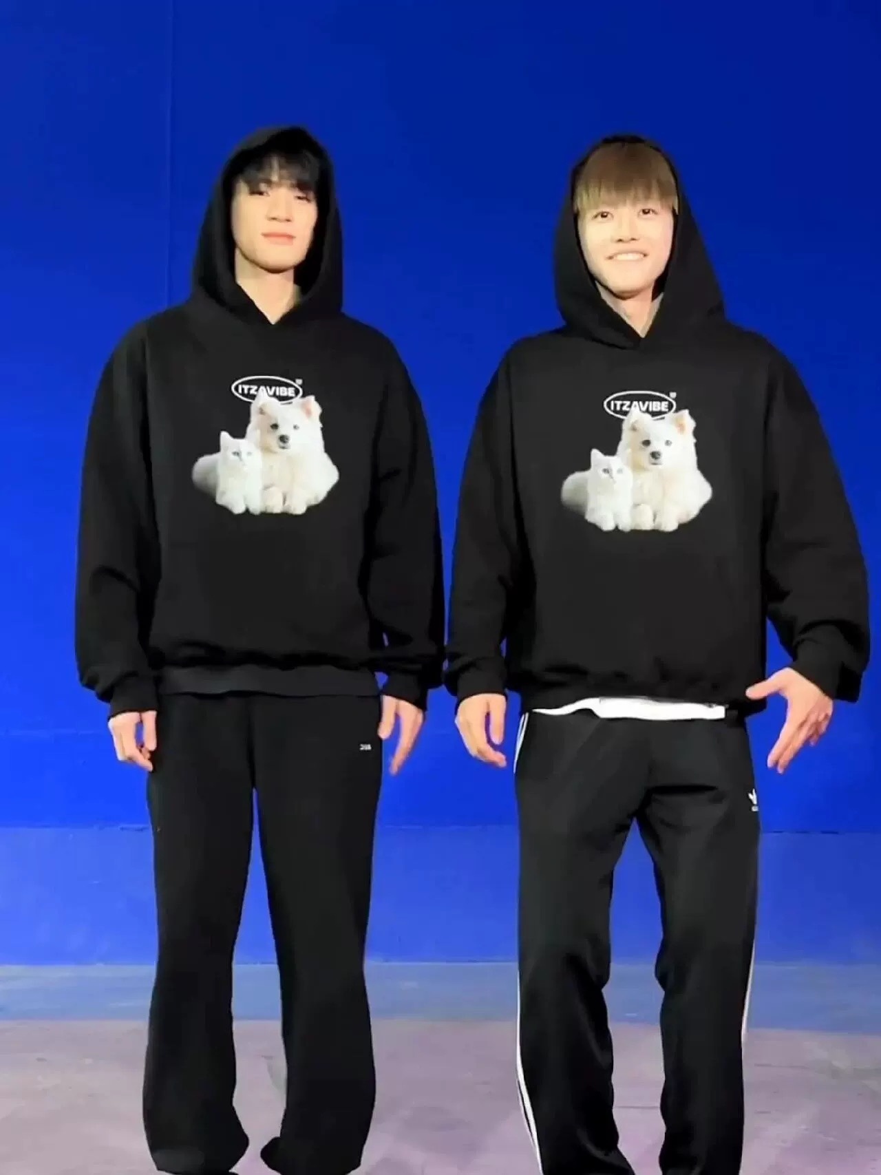 NCT RENJUN & JAEMIN Inspired Cat-Dog Hoodie