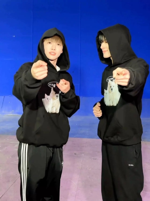 NCT RENJUN & JAEMIN Inspired Cat-Dog Hoodie