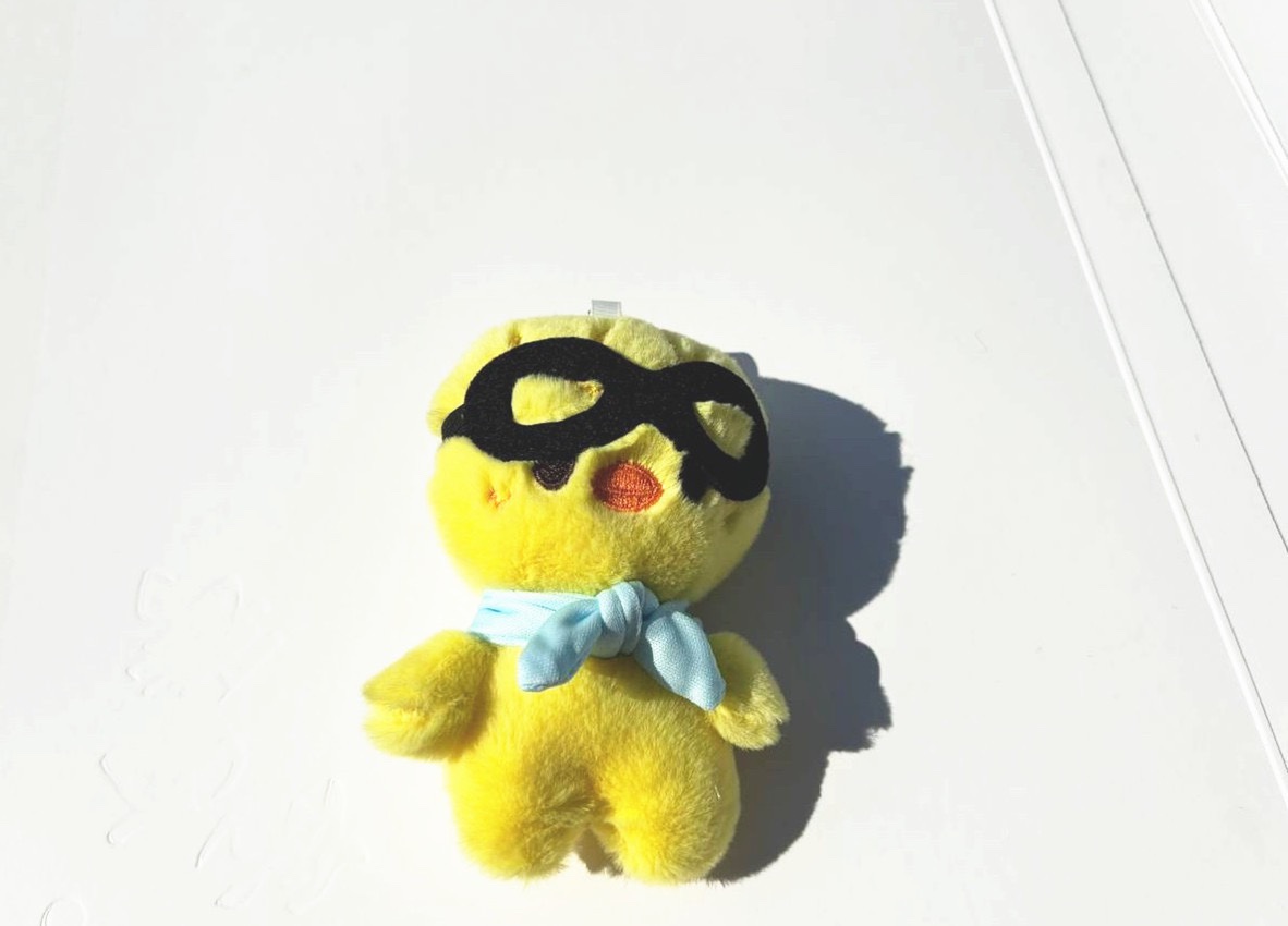 Stray Kids Skzoo glass inspired Merch  Doll