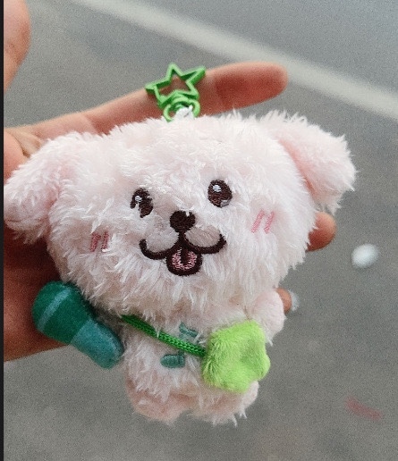 NCT WISH Garden Wish inspired Boba Cat Keychain