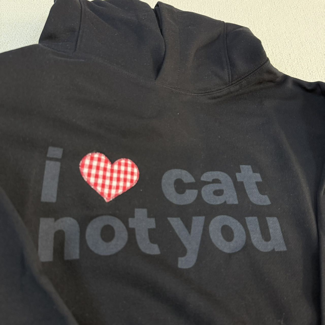 Nct Dream Jaemin Inspired I LOVE CAT NOT YOU CAT EAR HOODIE