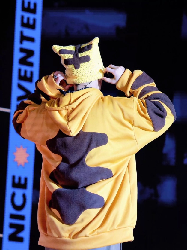 Seventeen Hoshi Inspired Yellow Tiger Hoodie