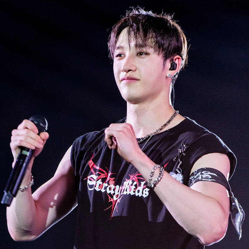 StrayKids 2024 World Tour dominATE T-Shirt