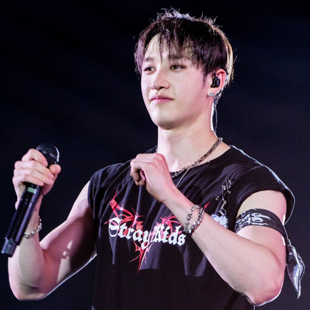 StrayKids 2024 World Tour dominATE T-Shirt