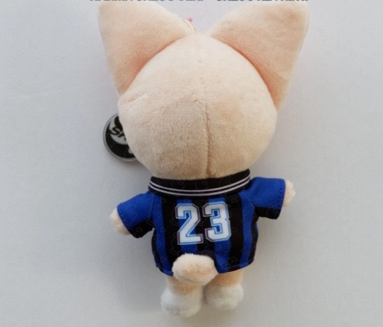 Skzoo StrayKids KARMA merch inspired Plush Doll – stray kids