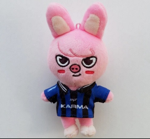 Skzoo StrayKids KARMA merch inspired Plush Doll – stray kids
