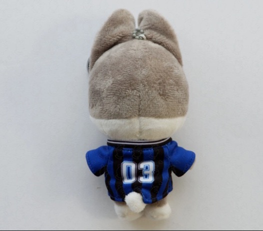 Skzoo StrayKids KARMA merch inspired Plush Doll – stray kids