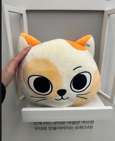 BOYNEXTDOOR BBNEXDO Official Merch inspired Pillow Plush Doll