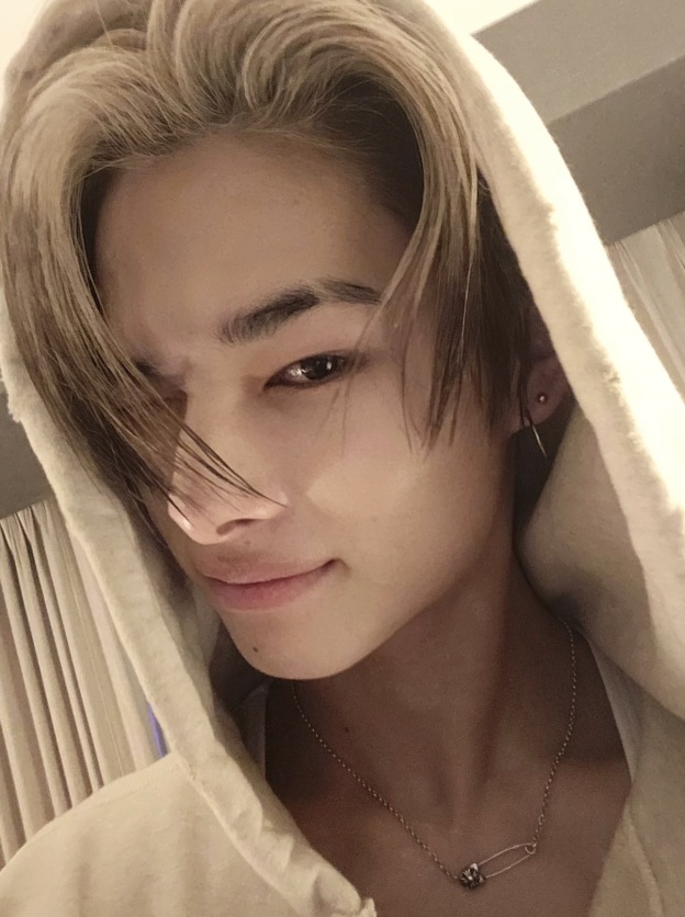 Enhypen Niki inspired chrome heart necklace-Ni-Ki