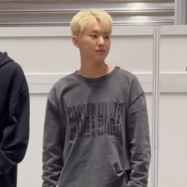 SEVENTEEN "RIGHT HERE" 2024 Japan Tour Inspired T-Shirt