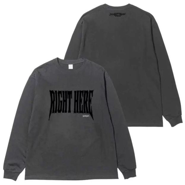 SEVENTEEN "RIGHT HERE" 2024 Japan Tour Inspired T-Shirt