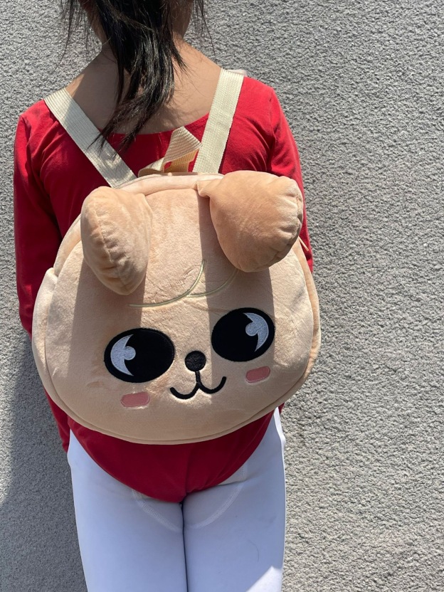 Stray Kids Skzoo merch inspired Doll Bag– stray kids
