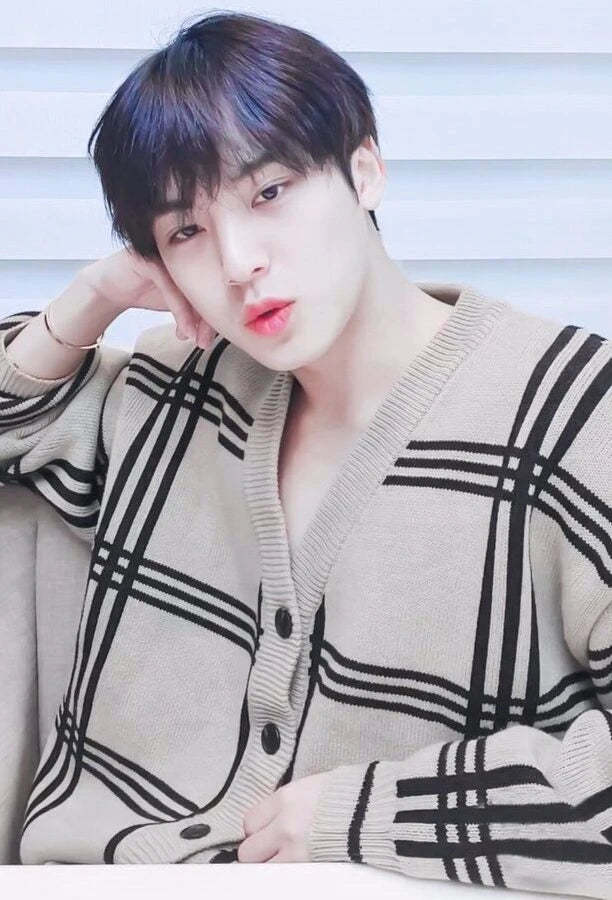 Khaki Plaid Knitted Cardigan -Mingyu – Seventeen