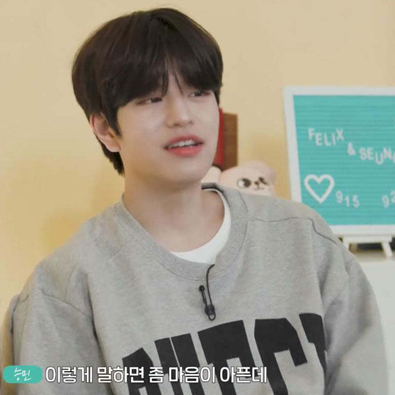 Check Gray Puppy Print Sweatshirt-Hwang Hyunjin-Straykids