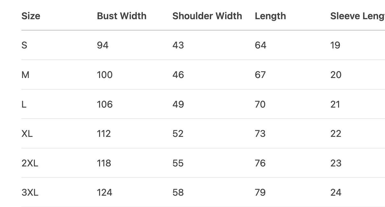 BTS Jin 2025 Echo Tour Official Inspired T-Shirt