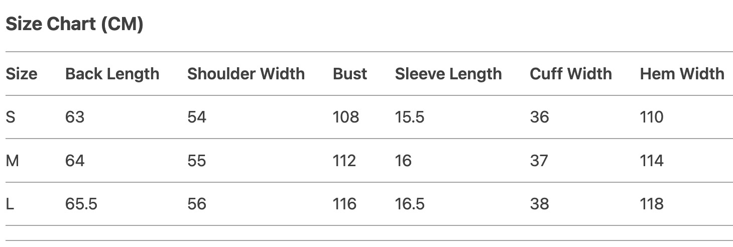 SEVENTEEN Mingyu Berlin Music Festival Inspired Graffiti Tee shirt