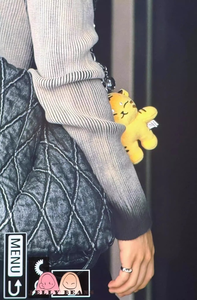 SEVENTEEN Hoshi I inspired Tiger Keychain include cloth