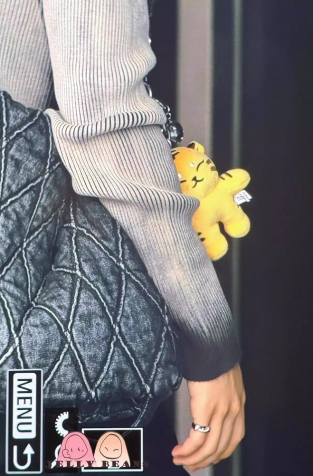 SEVENTEEN Hoshi I inspired Tiger Keychain include cloth