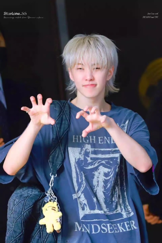 SEVENTEEN Hoshi I inspired Tiger Keychain include cloth