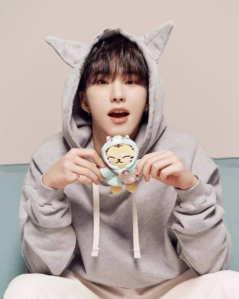 SEVENTEEN Hoshi I inspired Tiger Keychain include cloth