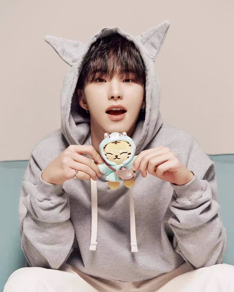 SEVENTEEN Hoshi I inspired Tiger Keychain include cloth