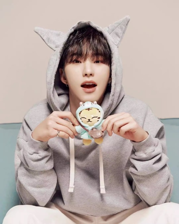 SEVENTEEN Hoshi I inspired Tiger Keychain include cloth