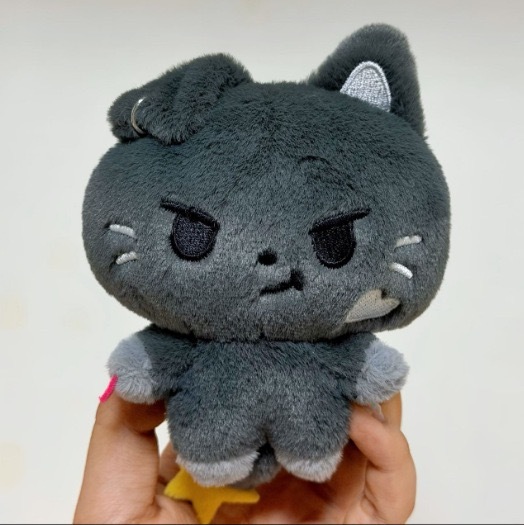 enhypen ENchin inspired Fluffy Plush Keyring Bag Accessory Charm doll