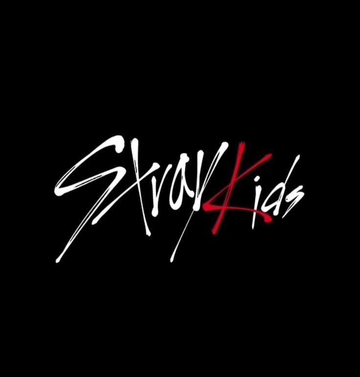 Straykids-STAY outfit inspiration collection