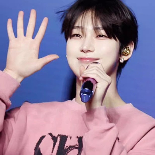 Stray Kids Lee Know & ENHYPEN Sunoo Inspired Graphic Crewneck hoodie