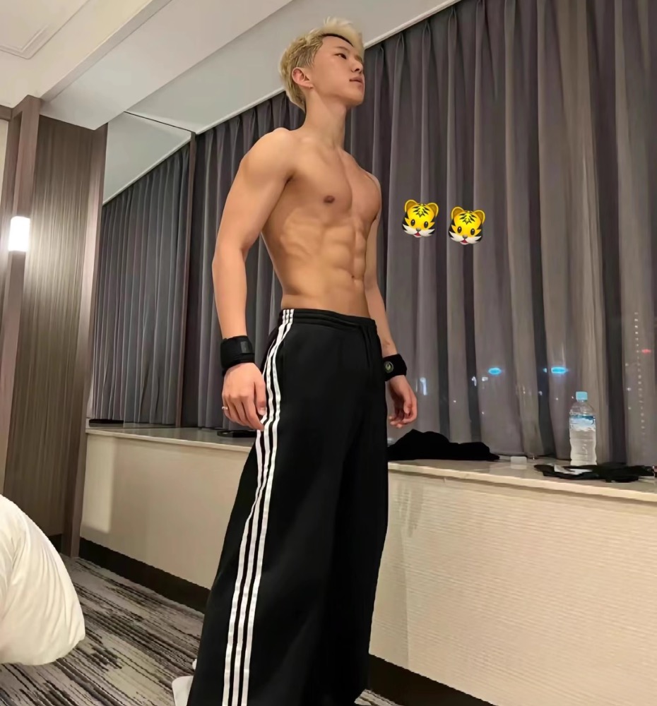 Seventeen Hoshi inspired Triple Stripes Pants